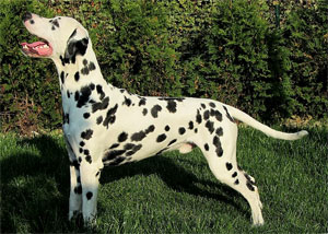 Crazy-Finley-14-Monate Crazy-Finley-14-Monate